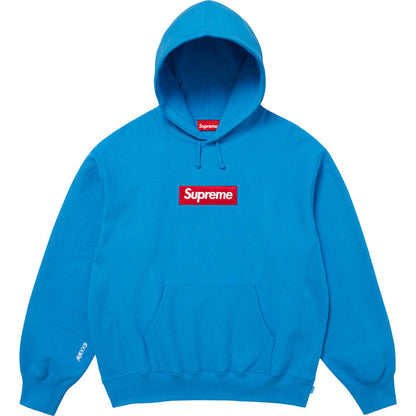 Box Logo Graphic Hoodie